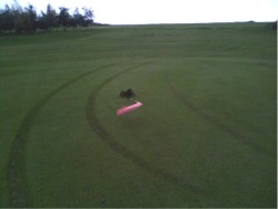 The tyre track marks on the first green at Greencastle.