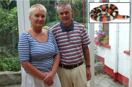 Sean and Mary McGrory who discovered a Mexican Pueblan milk snake, inset, under their decking.