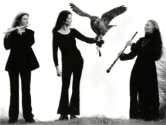 The Prey Trio: Susan Doyle, Sile Daly and Deirdre OLeary.