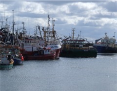 Fishing boats in Greencastle Harbour.